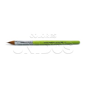 /cameleon/CAMBMICH1